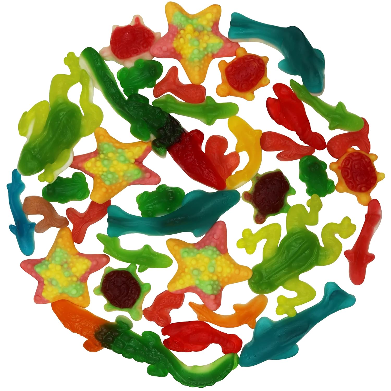Amazon.com : FirstChoiceCandy Sea Creatures Party Fun Gummy, Sea ...