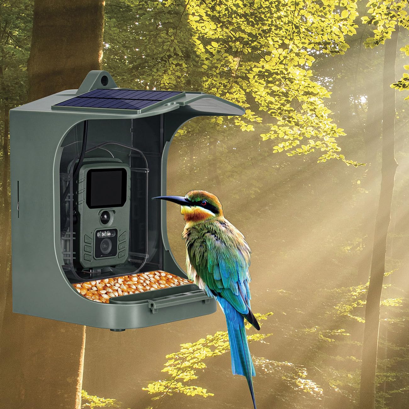 VisorTech Vogelhaus-Kameras Solar: Solar-Vogelhaus & Futterstelle, WLAN-Full-HD-Kamera, Versandrückläufer (mit & App, Vogel, iPad)