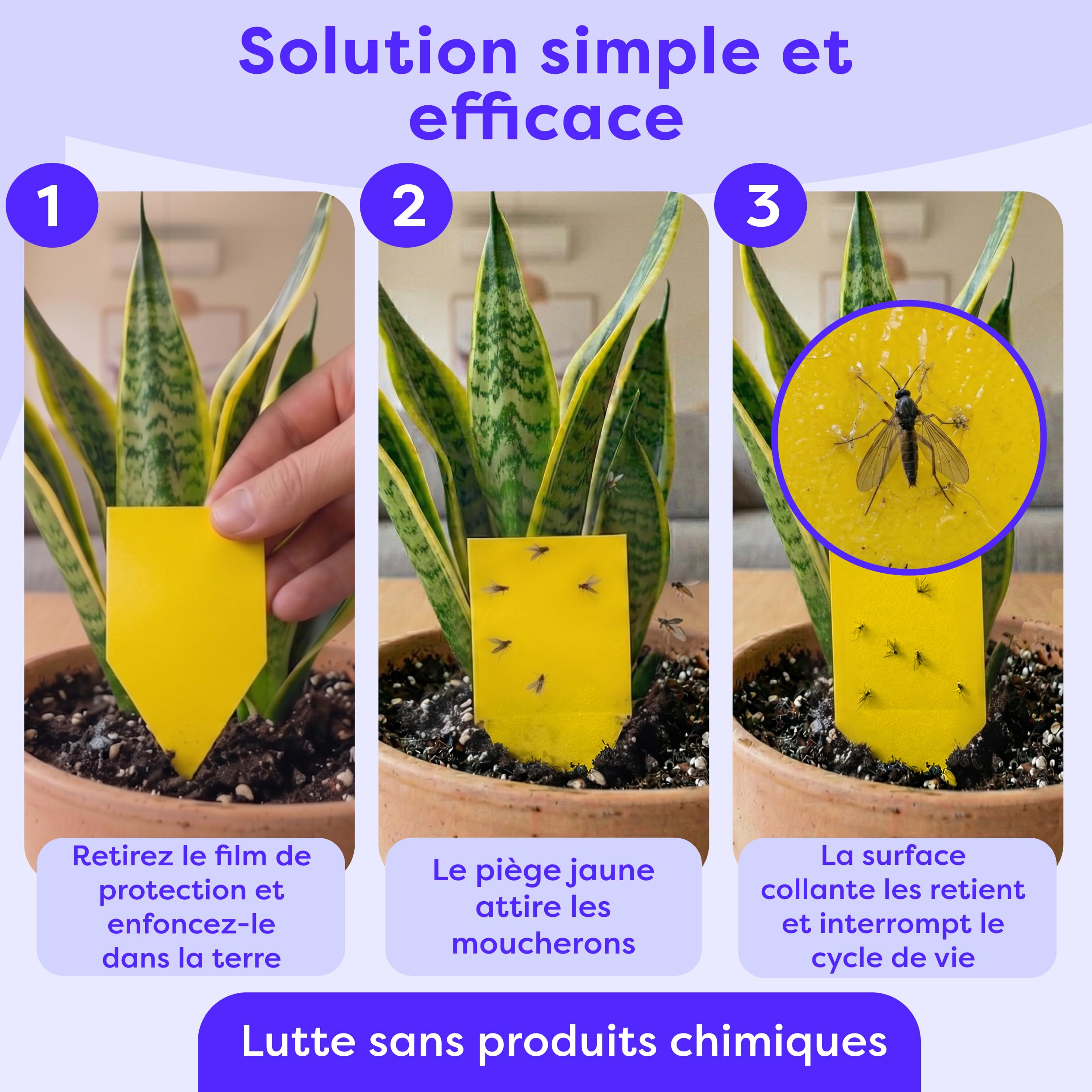 Wolkenfeld Piège à Moucherons Plantes 30 Pièces Stickers Jaunes – Anti Moucherons Interieur, Attrape Moucheron Adhésif Double Face, sans Insecticide – Plantes d’Intérieur & Serre – Made in Germany