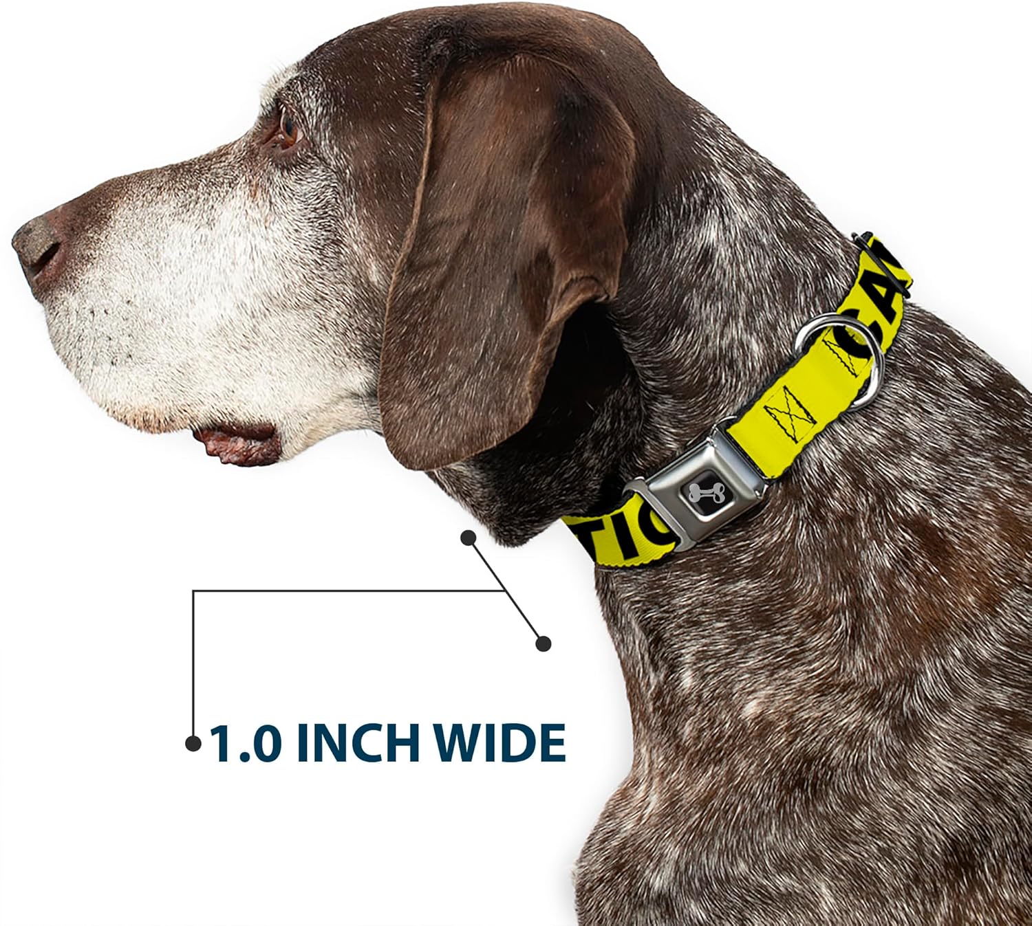 Buckle-Down 15-26" Caution Yellow/Black Dog Collar Bone, Large