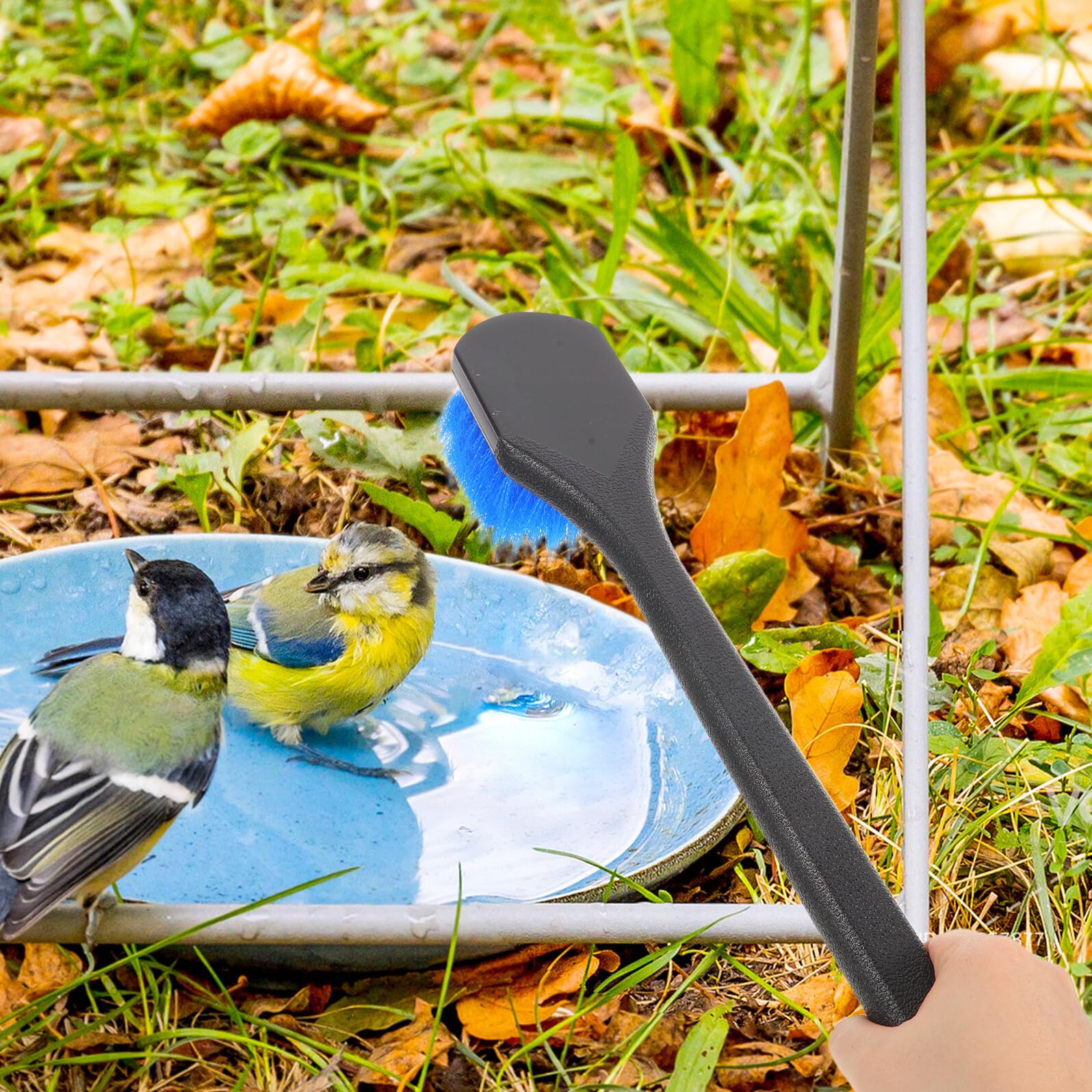 SHOWERORO Cepillo para Limpiar Bebederos para Pájaros con Mango Largo, Color Azul, Cepillo de Limpieza para Comederos y Baños de Aves, Herramienta para Jardinería y Cuidado de Aves en Patio