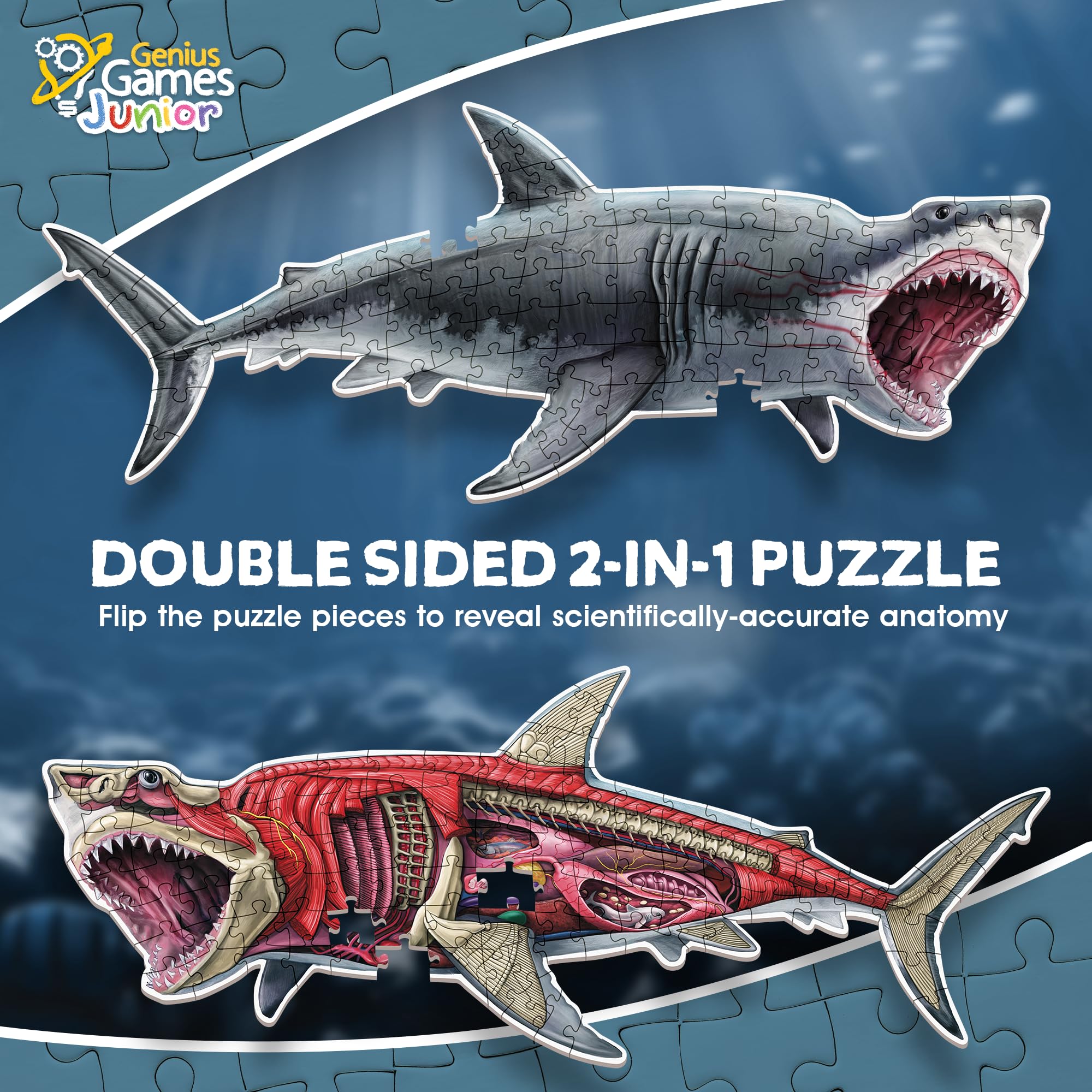 Shark Anatomy Floor Puzzle - 100 Piece Kids Puzzle -3