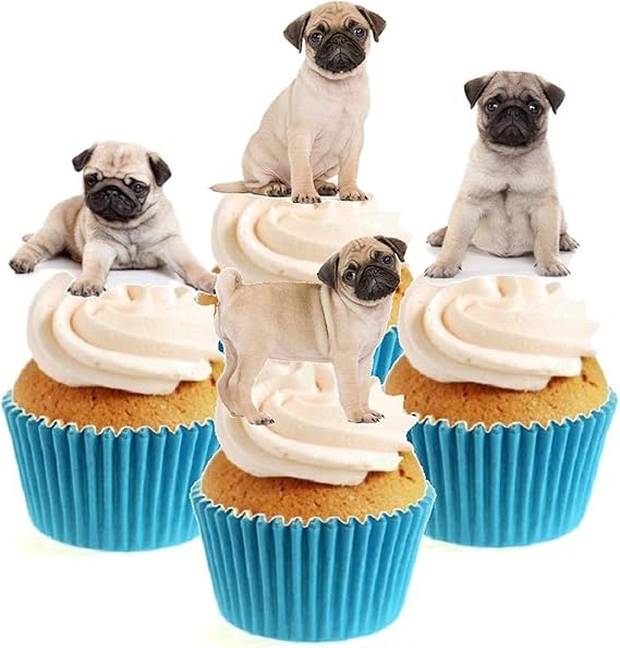 easy pug cake