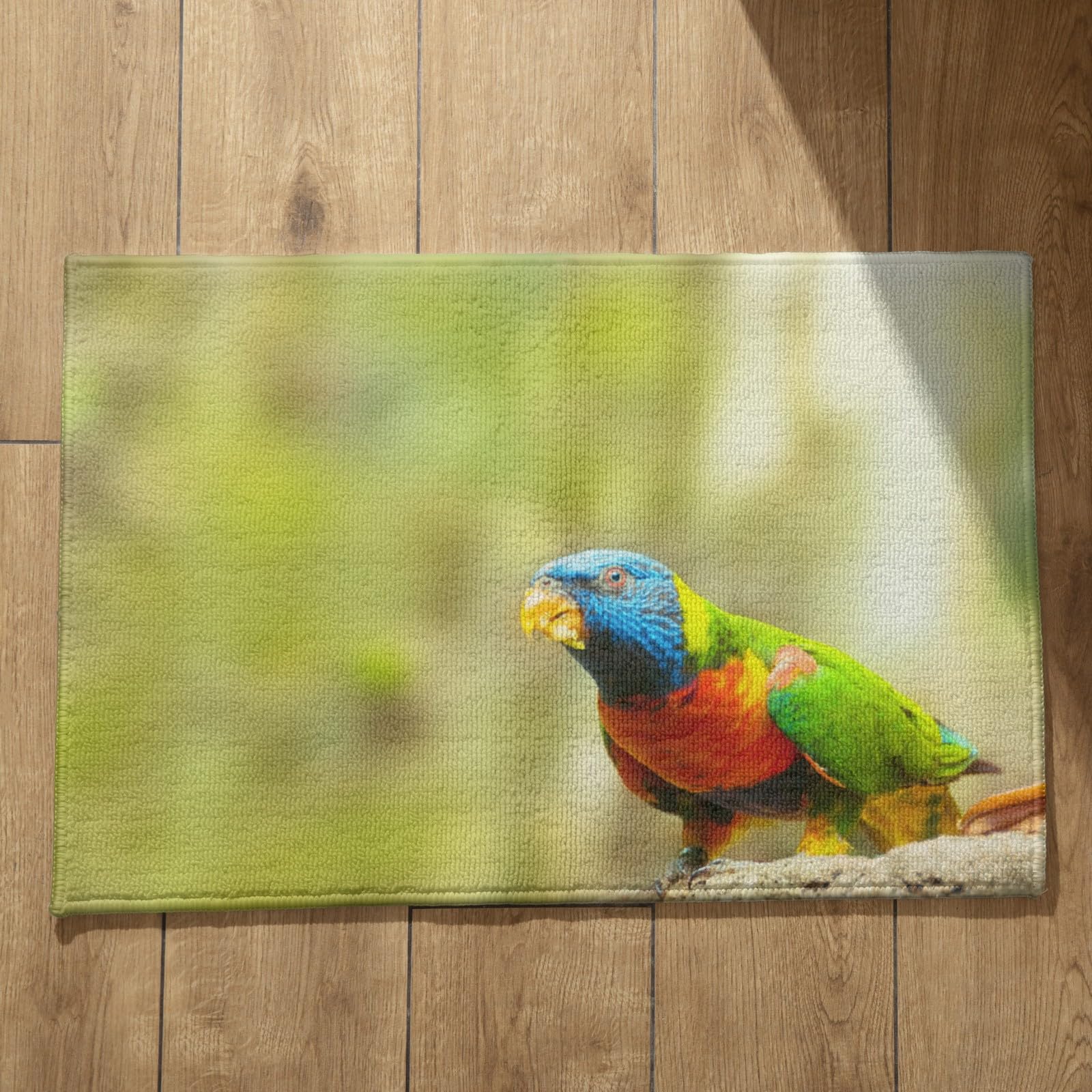Paillasson absorbant anti-salissures à motif oiseau nature 50x80cm