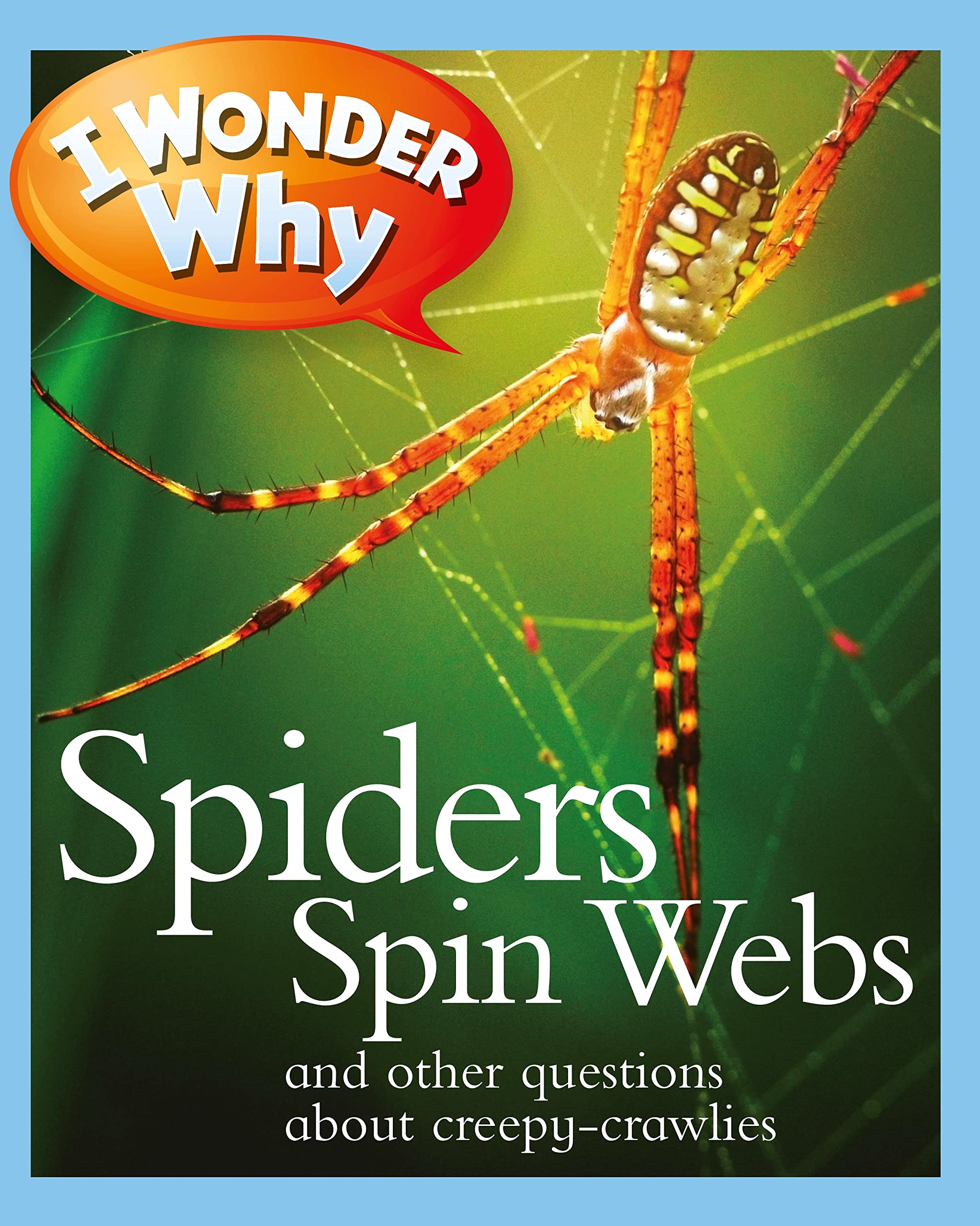 I Wonder Why Spiders Spin Webs: And other questions about creepy-crawlies (I Wonder Why Kingfisher, 164)