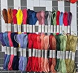 Review Image by Taylor Taylor