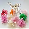 Product Photo 5