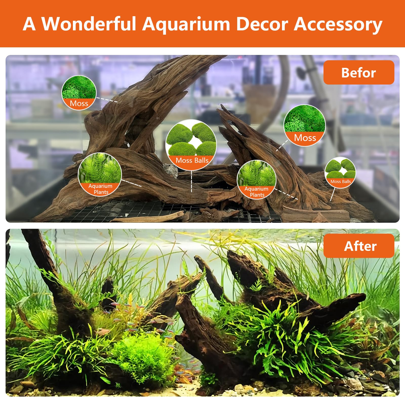 Madera flotante para acuario, madera de deriva para pecera: madera flotante de agua dulce, reptil, reptil, tronco, serpiente, accesorios de escalada, decoración de terrario para leopardo,
