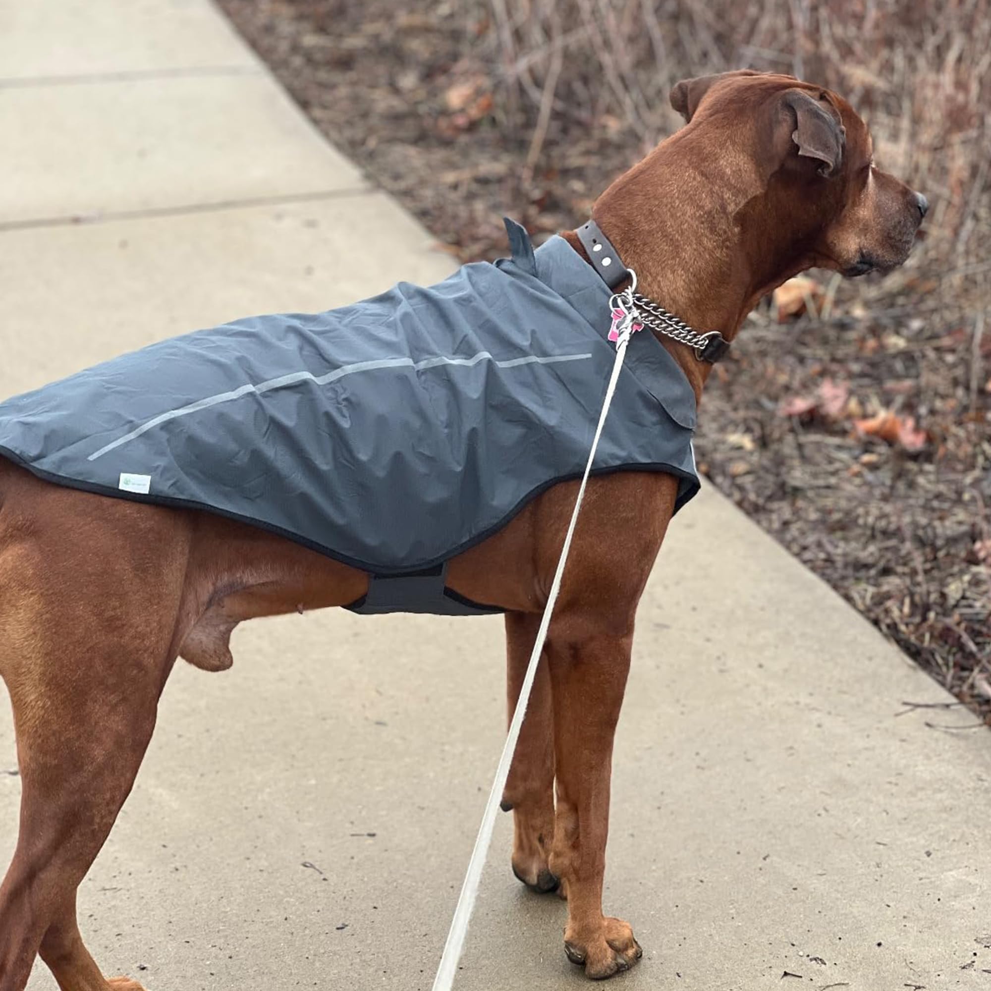 Milla de Vida Alta | Chubasquero para Perros | Ropa para Mascotas Ajustable e Impermeable | Chaqueta Impermeable Ligera con Raya Reflectante | Fácil de Poner (Gris Oscuro, S)