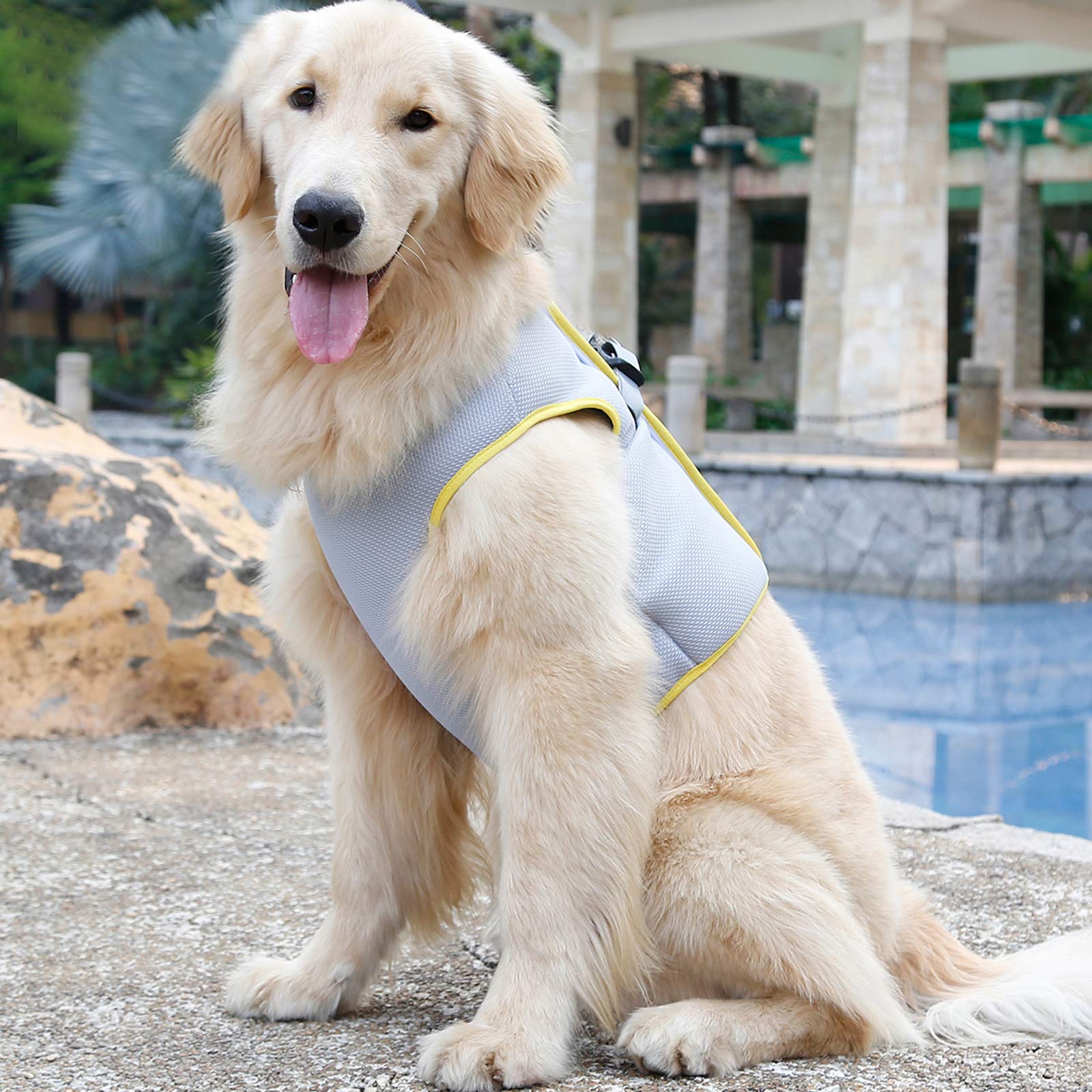 Hund Kühlgeschirr Sommer Mesh Verstellbar Hund Kühlweste Jacke Outdoor Sonnenfest Haustier Mäntel für Kleine Mittlere Große Hunde (XS)