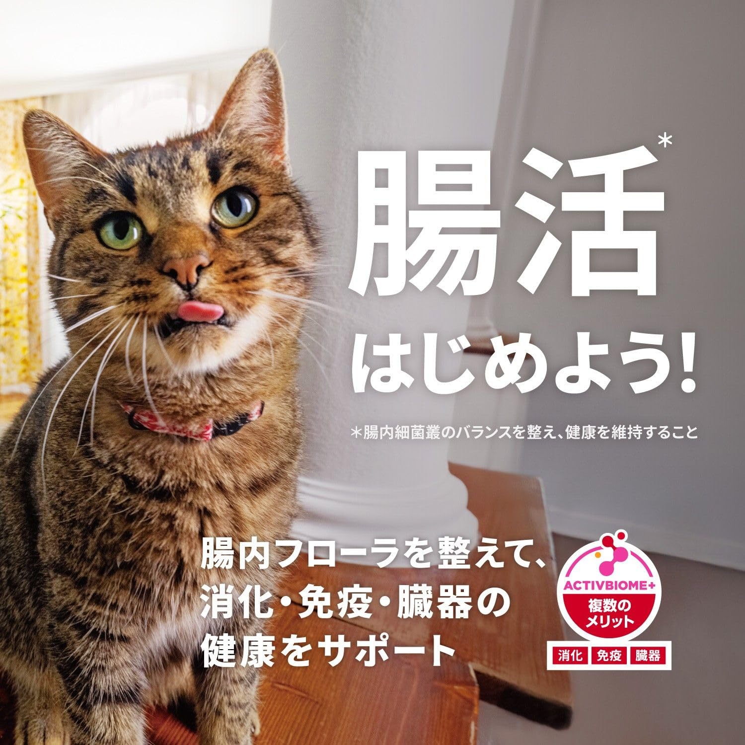 ヒルズ サイエンス・ダイエット キャットフード シニアプラス 11歳以上