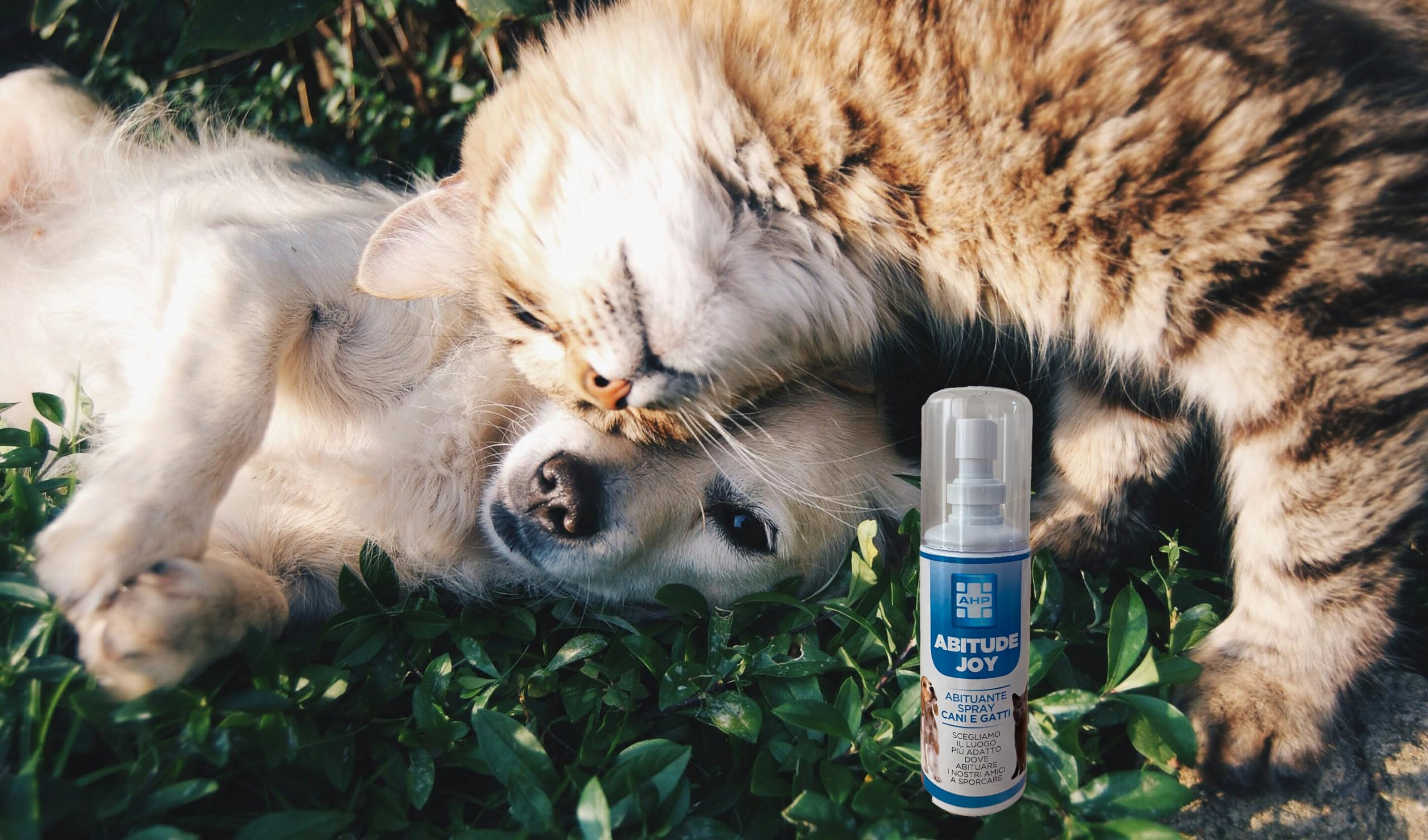 Generico Abitudine Joy - Spray Addestrante, abituante per Cani e Gatti - Sicuro e Efficace