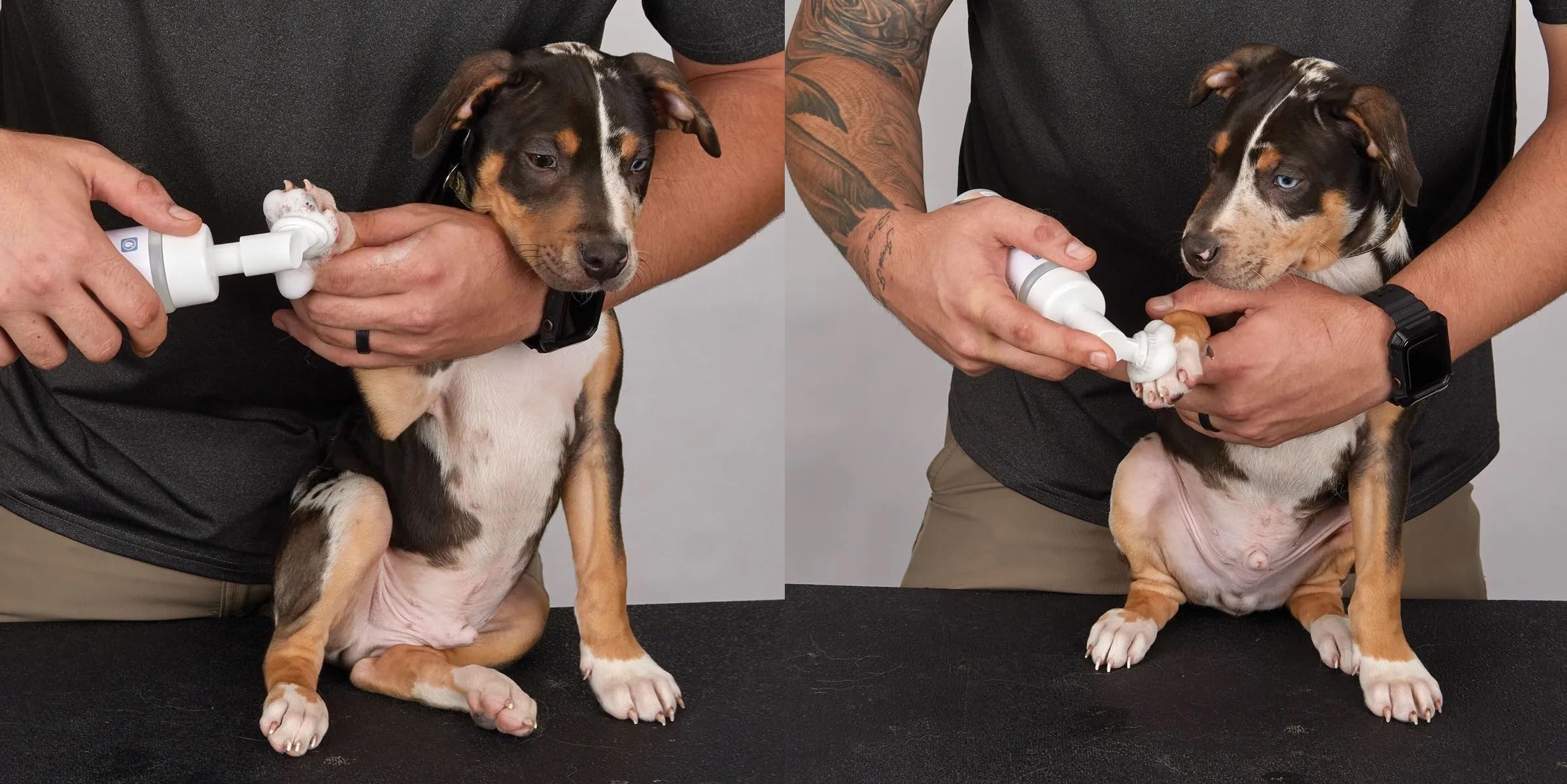 Clean Paw Dog Cat Pet Hypoallergenic Waterless Unscented Cleansing Foam with Brush (1 Bottle)