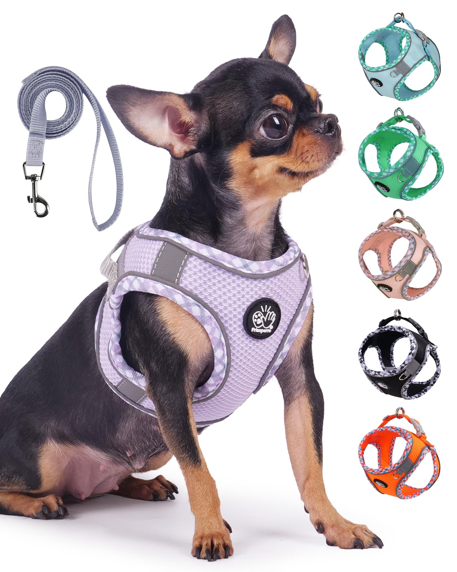 Frienperro Breathable Dog Harness with Leash Set for Small Dog, Dog