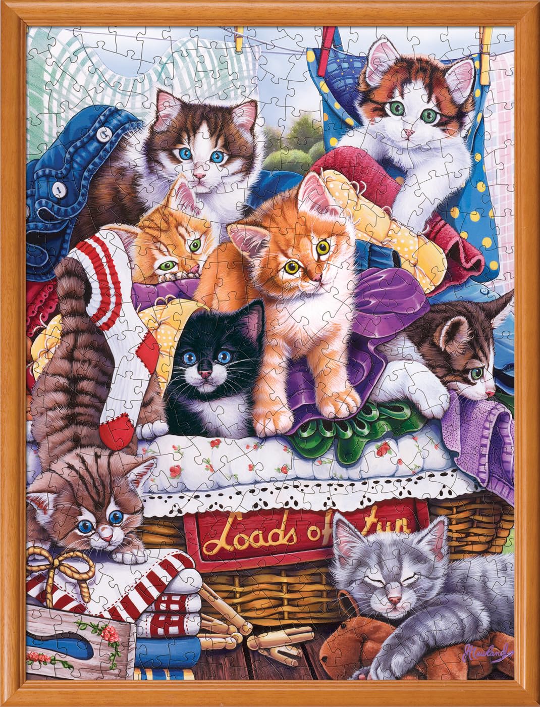 Jigsaw Puzzles for Adults Kids, 1000 Pieces