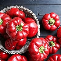 Vista 9 de Eden Brothers Semillas de Pimiento Dulce - Pimentón Alma