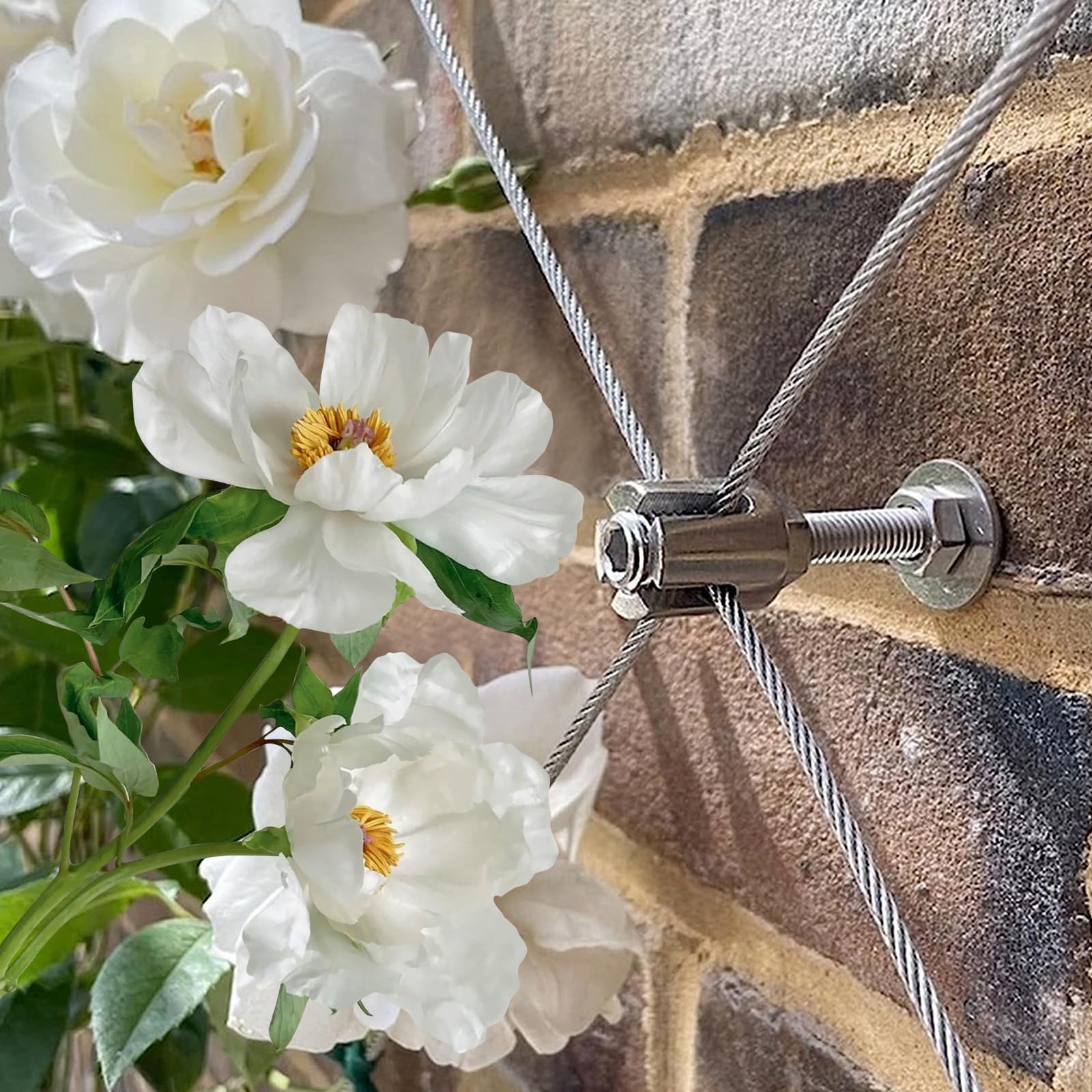 Système Treillis Mural Tuteur Acier Inoxydable Plantes Grimpantes - Kit 12m Câble 3mm Avec Supports Mur Jardinage Extérieur Système Treillis Mural Tuteur Acier Inoxydable Plantes Grimpantes - Kit 12m Câble 3mm Avec Supports Mur Jardinage Extérieur