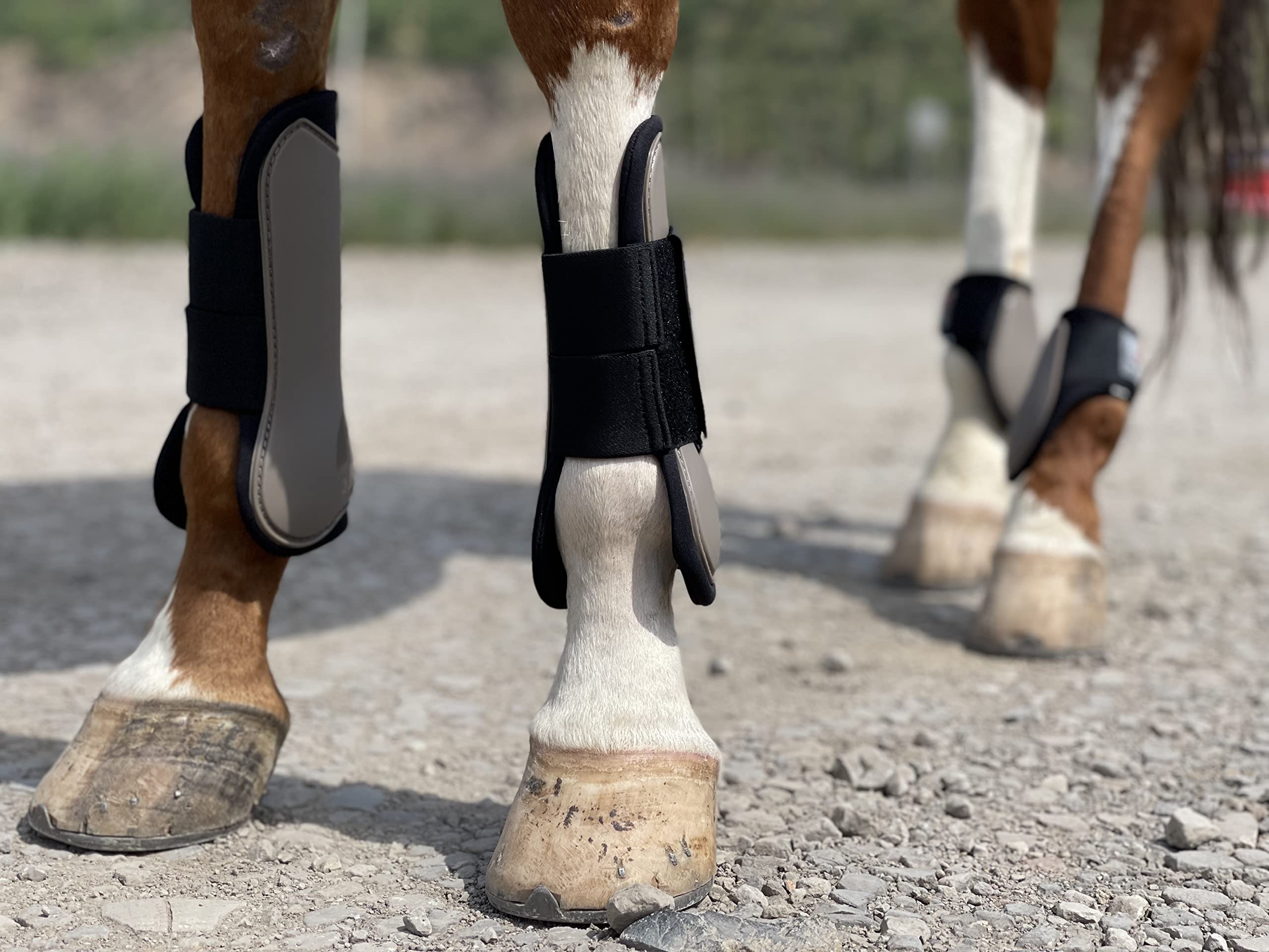 Ride NowHorse Tendon Boots Open Front/Fetlock Boot for Horse Set of 4