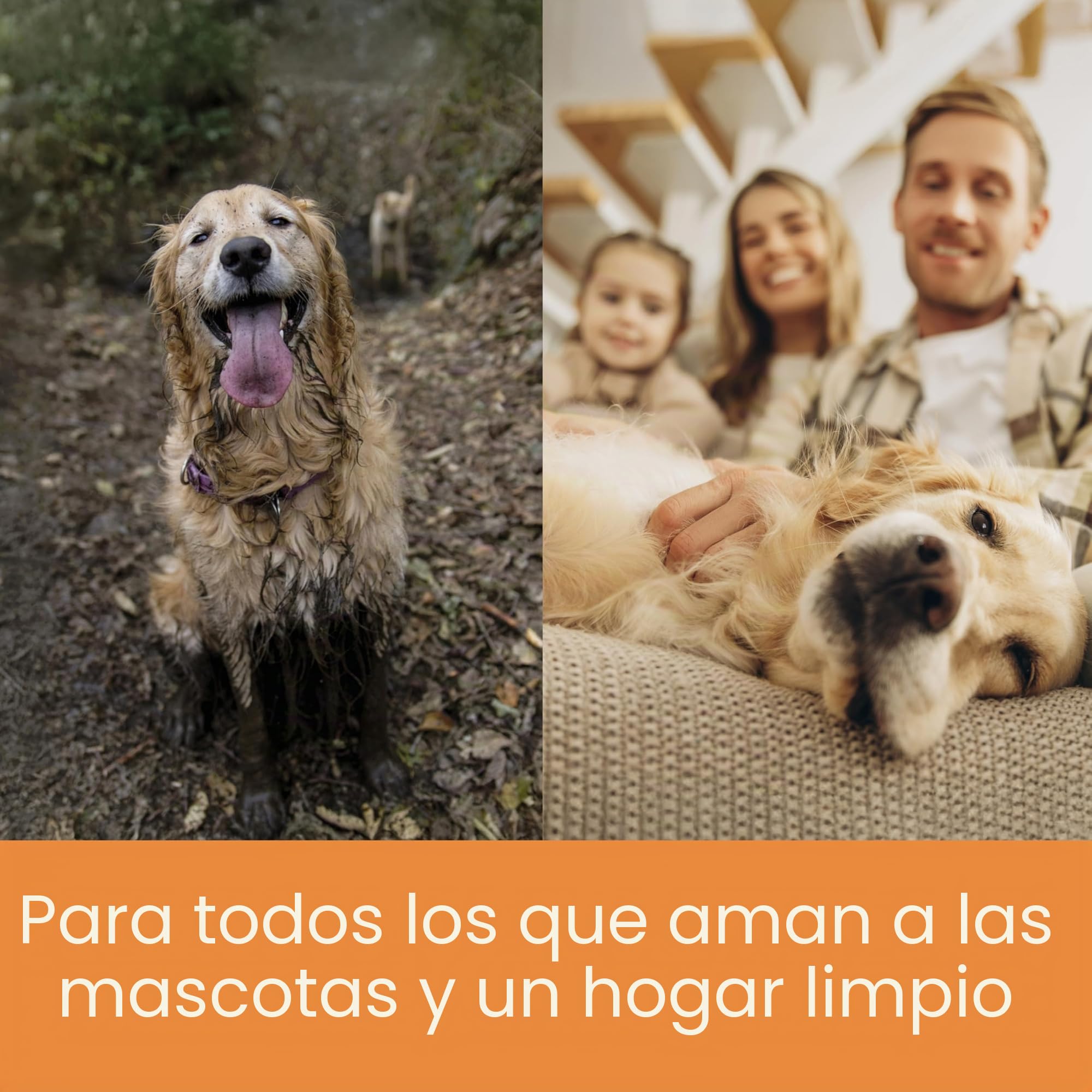 Thomas Pet & Family Aqua+ 788569 Aspiradora