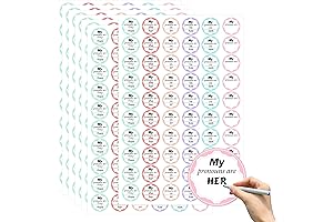 600 Pieces Pronoun Stickers Bulk Labels Pun Intended Badges for Kids