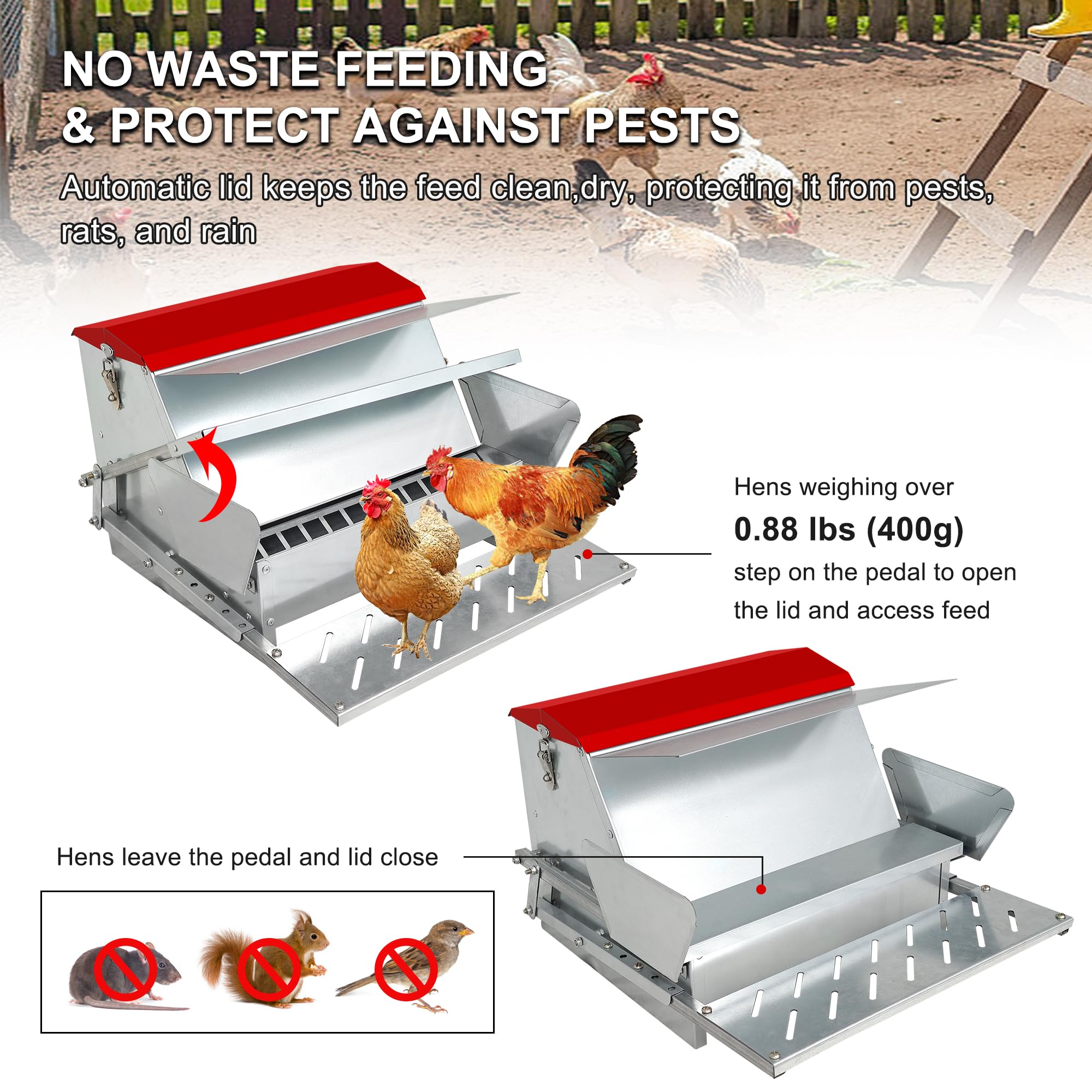 Automatischer Hühnerfutterspender 11lb - Wetterfeste Futterstation Für Hühner & Enten