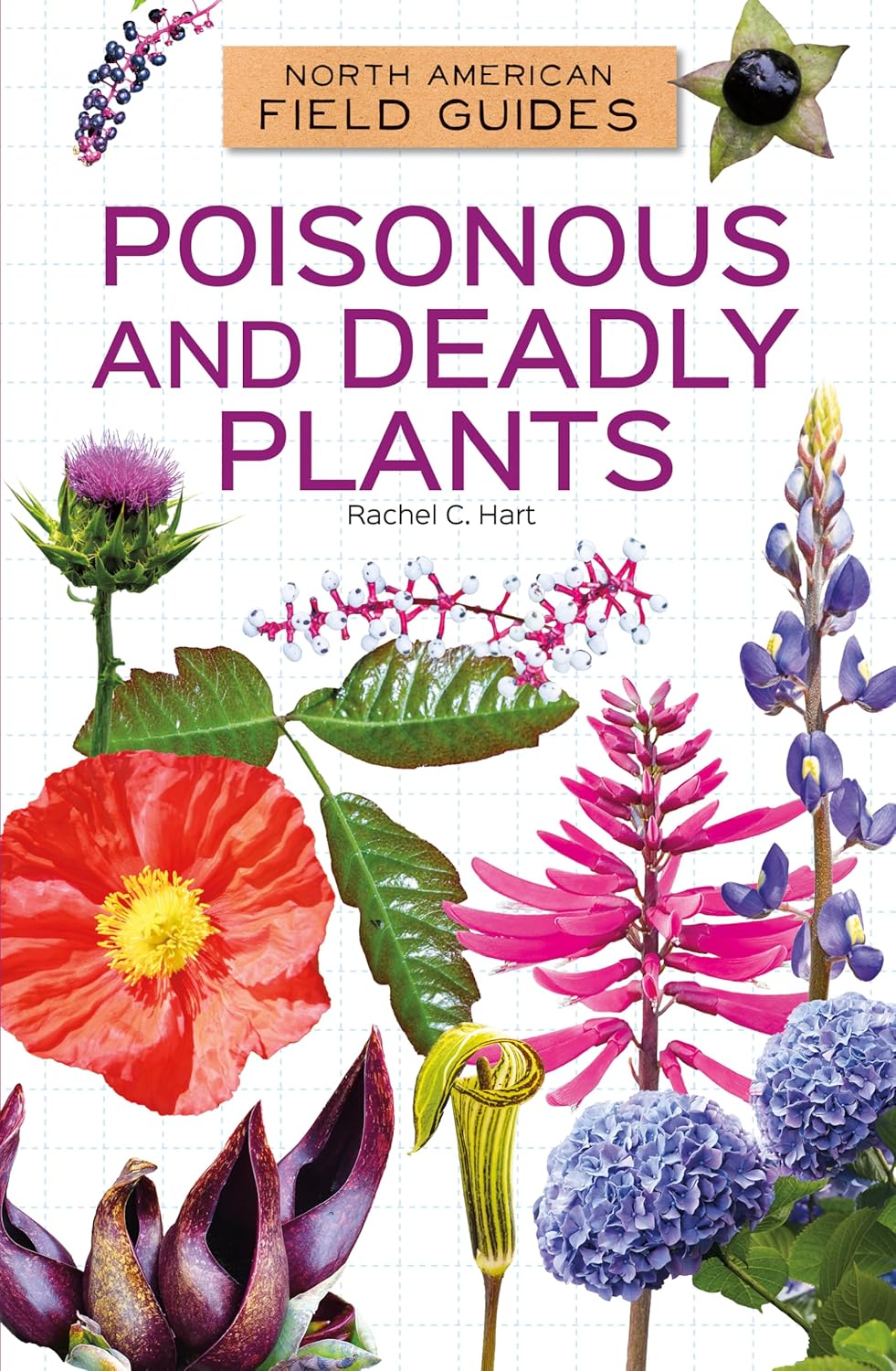 Poisonous and Deadly Plants (North American Field Guides Set 2)      Library Binding – December 15, 2024