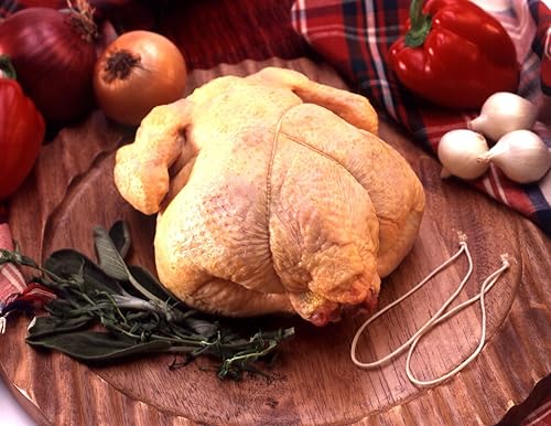 Miniatura 3 de Cuerdas elásticas gourmet 6 pulgadas blancas resistentes bolsa a granel de 3,000 lazos (75 paquetes de 40paquete) (3000, blanco)