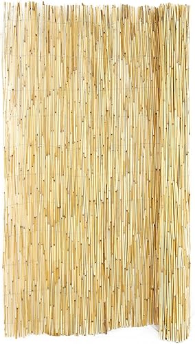 Backyard X-Scapes Valla decorativa de esgrima de caña natural para divisor de cercado de jardín de patio trasero, 6 pies de alto x 16 pies de largo