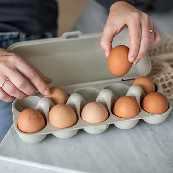 Koziol 7179716 Egg Box, Plastic