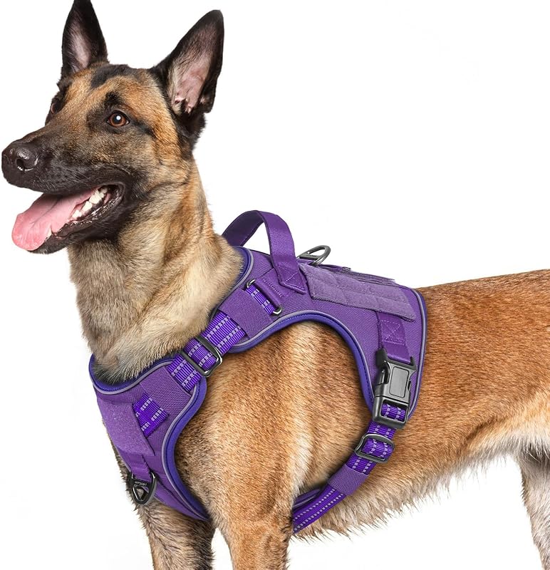 Peitoral Vest Tático para Cães Grandes rabbitgoo com Encaixes Duplos e Sistema MOLLE