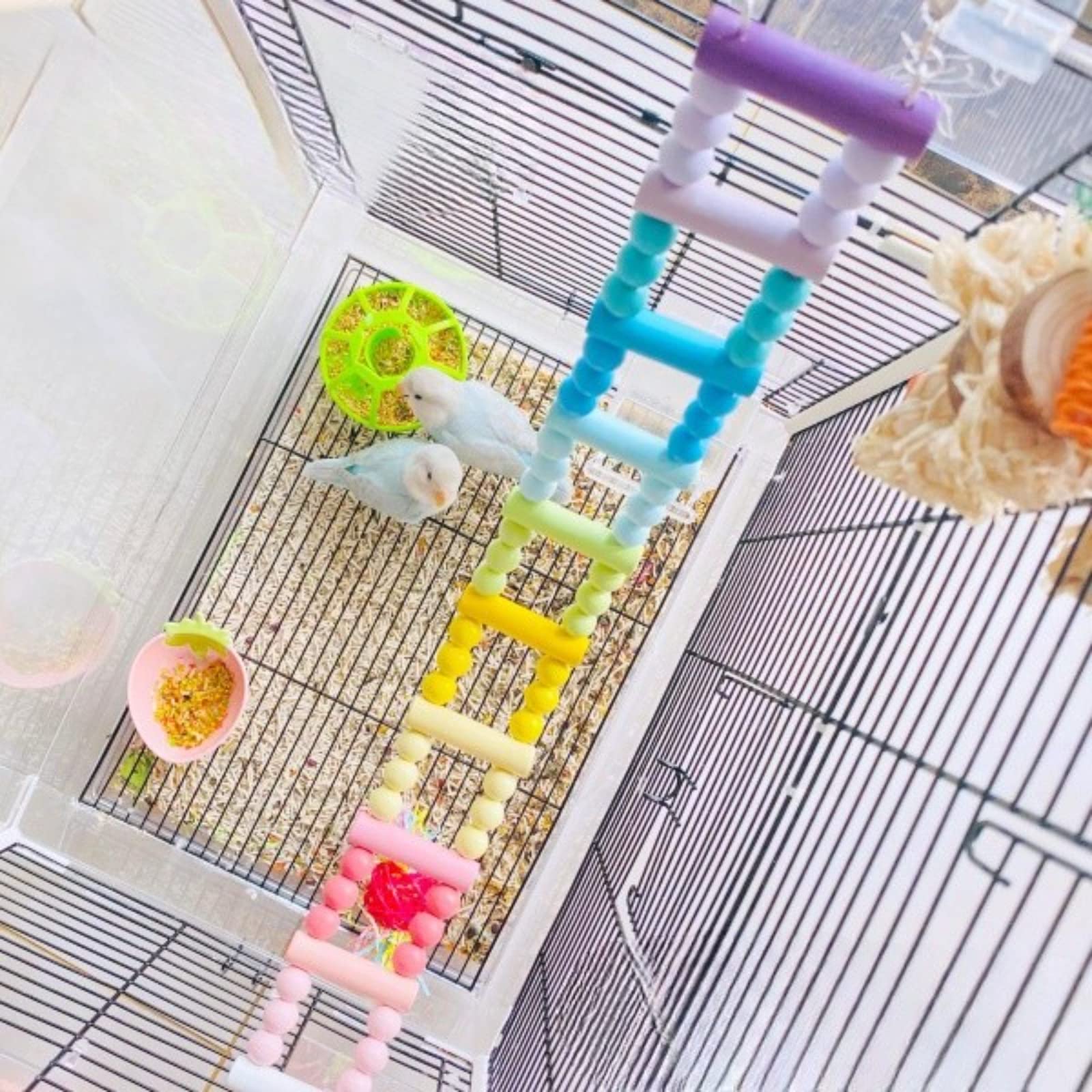 Barn Eleven Bird Climbing Ladder: Rainbow Wooden Ladders Swing Chewing Toys Hanging Pet Bird Cage Accessories Hammock Swing Toy for Small to Medium Breeds (Large: 10 Ladders)