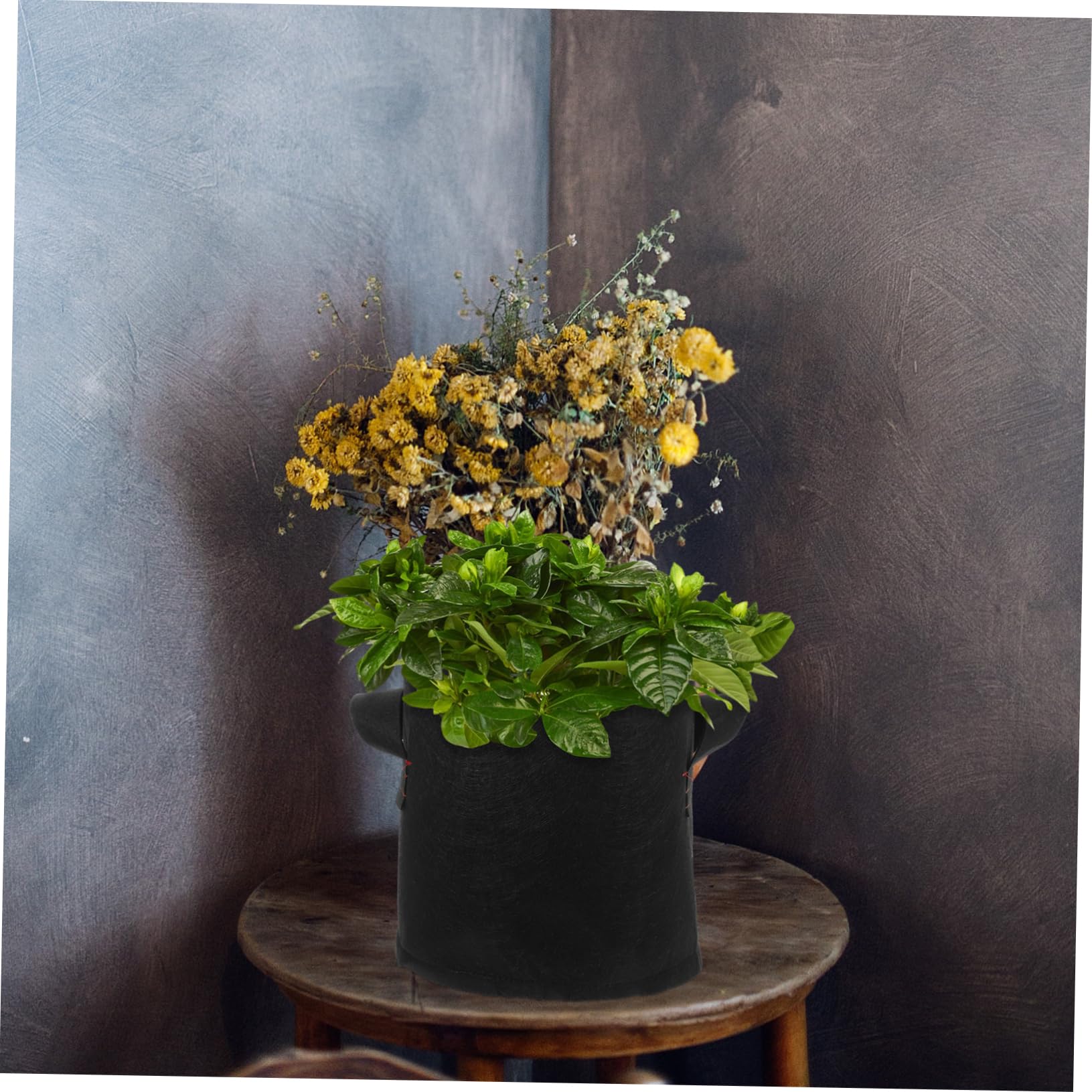 12pièces Sacs De Culture Tissu Non Tissé pour Légumes Pommes De Terre Oignons Fleurs Et Fruits avec Poignées Latérales Et Fond Solide