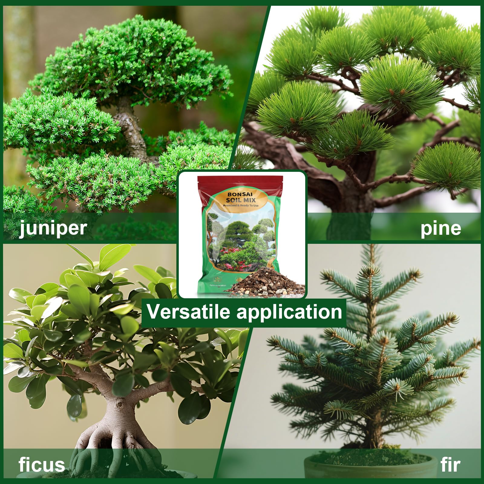 GOTVUGE Professionelle Bonsaierde mit verbesserter Luftdurchlssigkeit und  Drainage  Hochwertige Pflanzerde fr Bonsai | 1 L Premium Bonsai  Substratmischung : Amazon.de: Garten