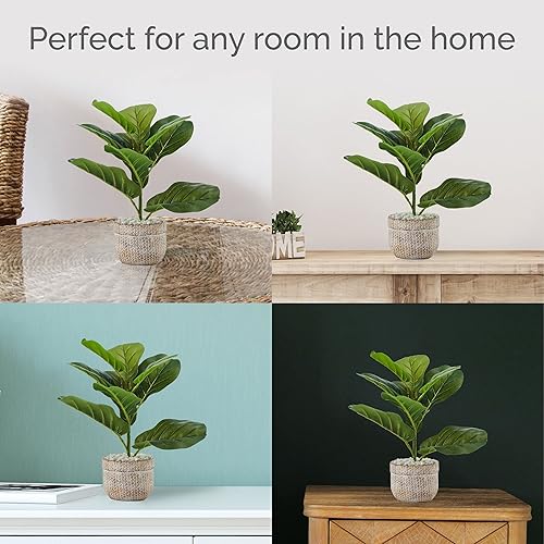 Miniatura 7 de Elements Higuera de hoja de violín en maceta de cemento en relieve para baño, granja, centro de mesa de vegetación sintética, mantel de mesa