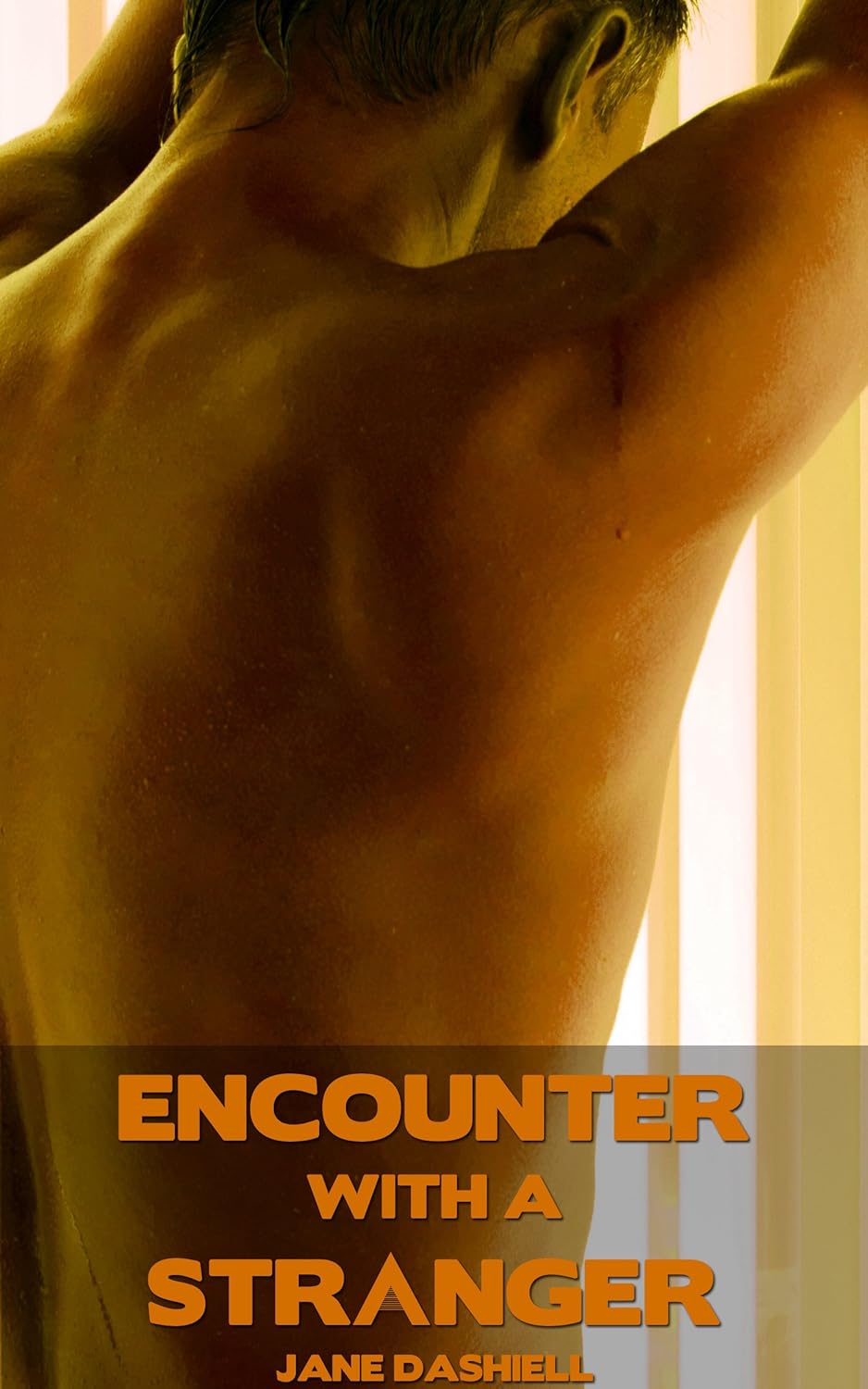 Encounter with a Stranger (Stranger Sex Gay Erotica) - Kindle edition