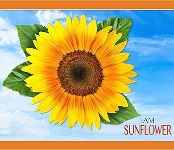 Amazon.com: I Am Sunflower 350 Pieces : Madd Capp: Toys & Games
