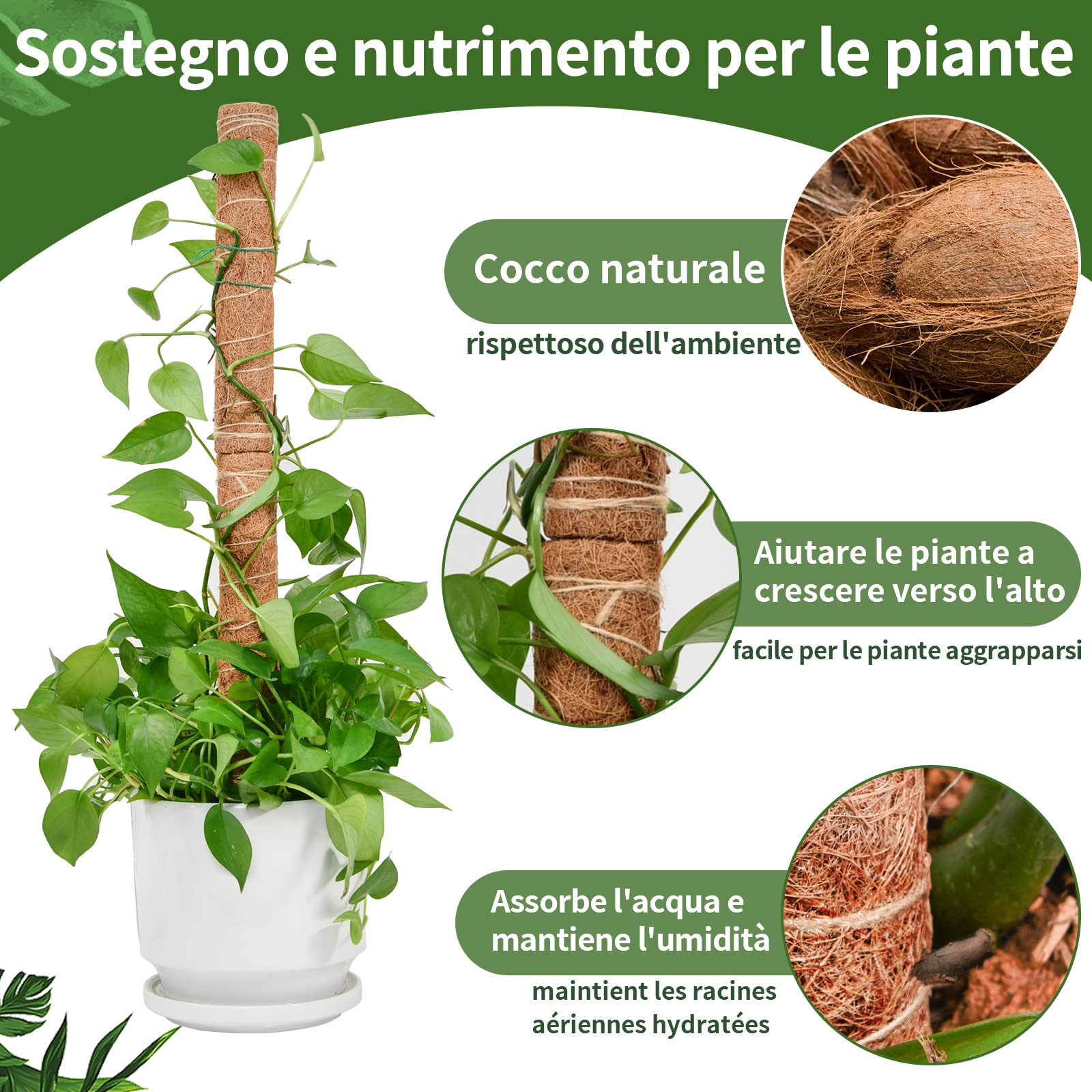 Totem di Cocco, SproutMaven Bastone per Piante da 4x40cm Allungabili, Altezza 124cm Bastoncino di Totem Palo Supporto Piante Rampicanti da Interni ed Esterni, Liane per Crescere Verso L'alto