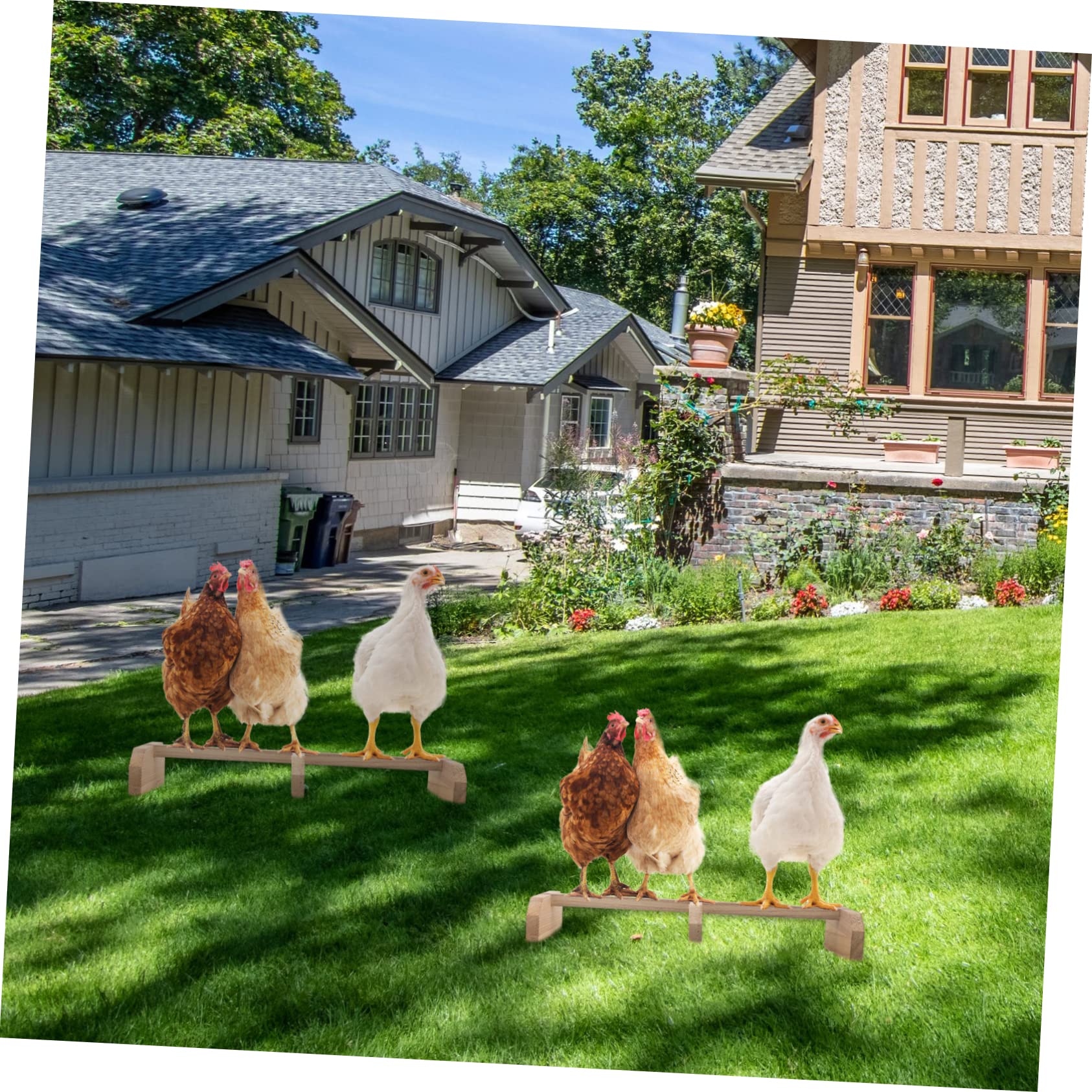 DOITOOL 2piezas Perchero De Madera para Aves y Gallinas Juguete Natural De Madera para Mascotas Soporte Seguro y Resistente para Entrenamiento
