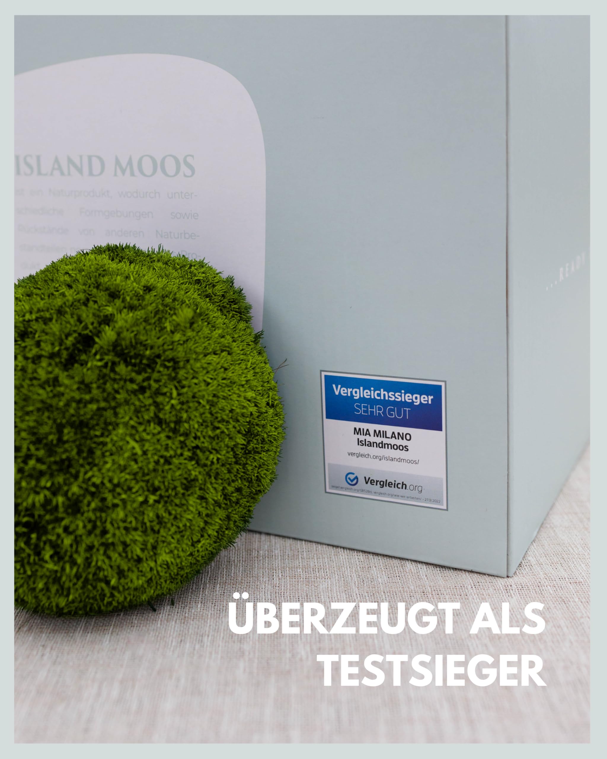 Mia Milano Kugelmoos naturgrün konserviert | 500g Echtes Bollenmoos für Moosbilder | Haltbares Moos zum Basteln | Wetterfestes naturgrünes Islandmoos