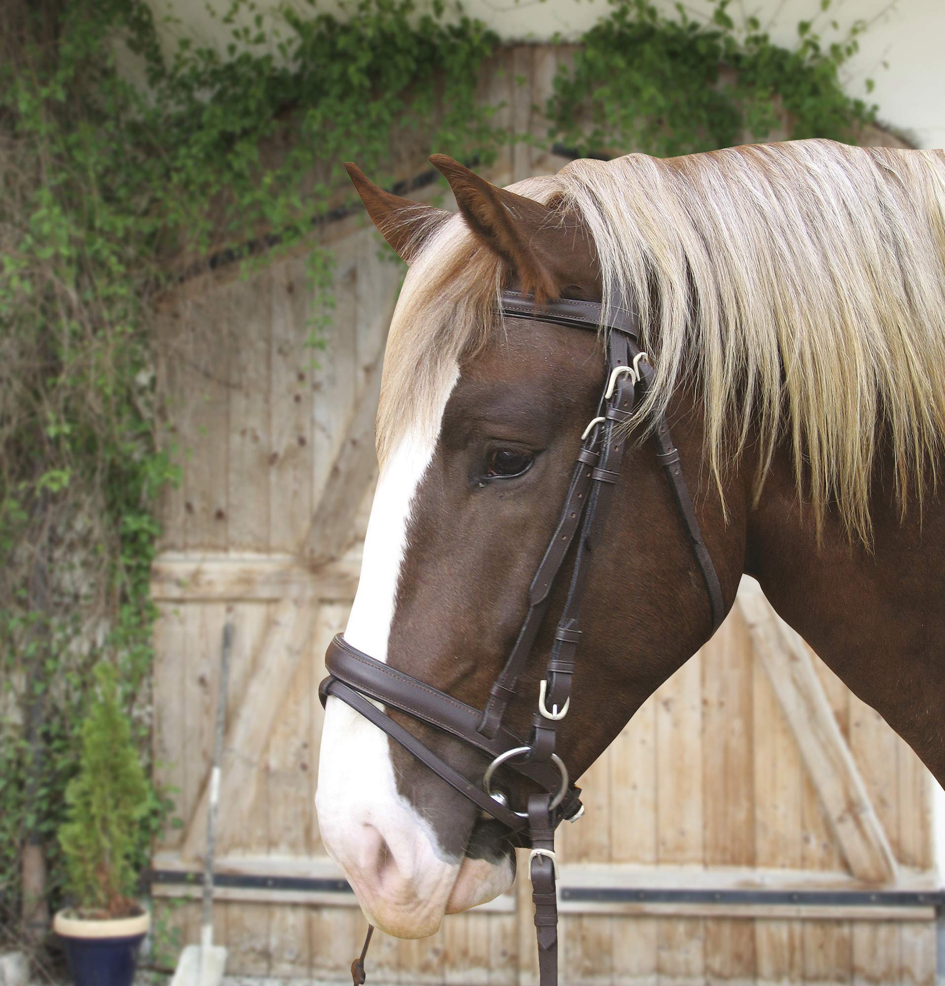 KERBL Bridon pour Cheval de Trait Brun