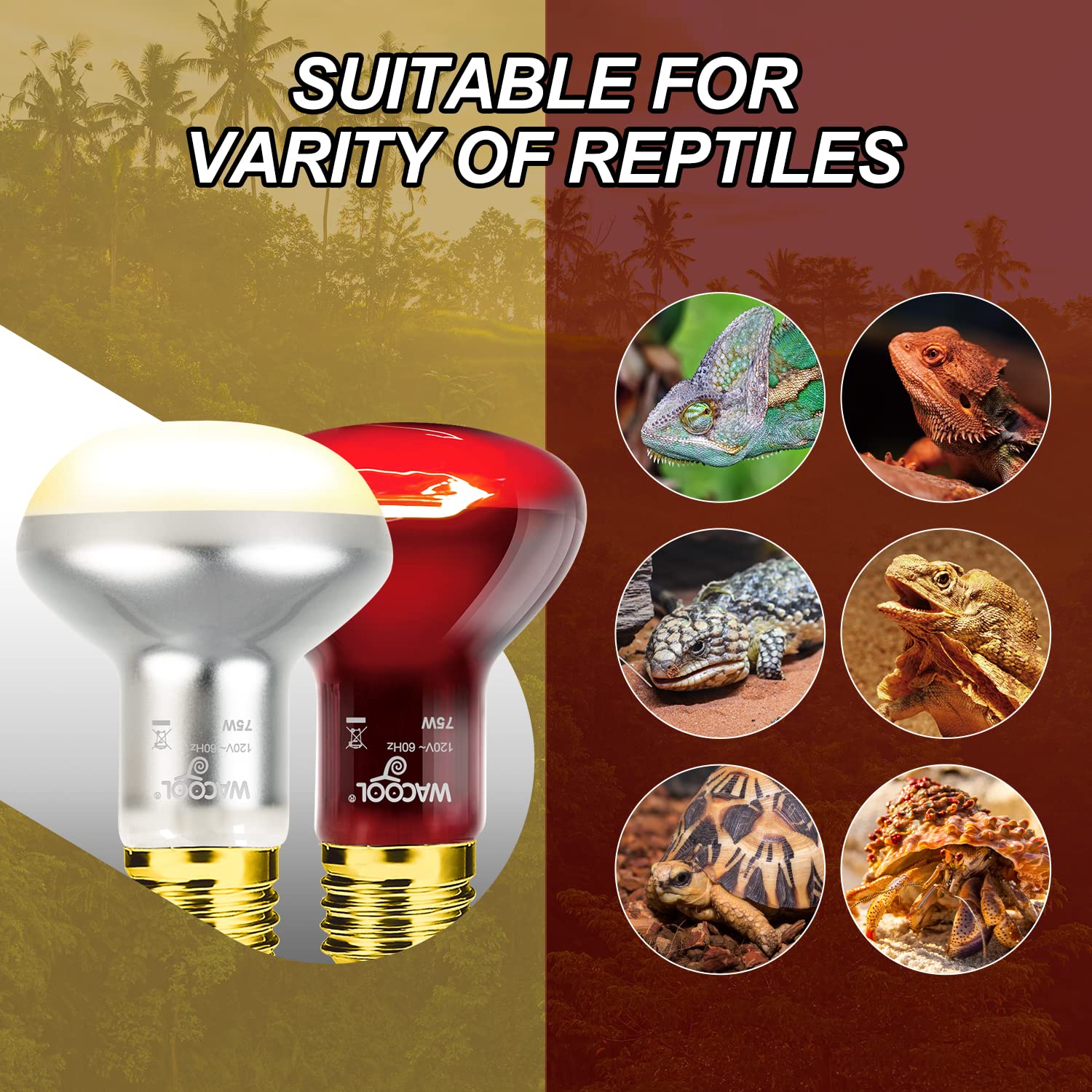 WACOOL 4Pack Reptile Heat Lamp Day & Night Kit 75W, Nature Simulated Basking Daylight & Nightlight UVA Heat Lamp Bulbs for Reptiles & Amphibians - image 2