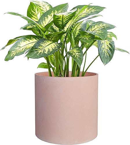 Miniatura 5 de FaithLand Maceta de 10 pulgadas  Se adapta perfectamente al soporte moderno de mediados de siglo  Tapón de drenaje y pantalla de malla de drenaje