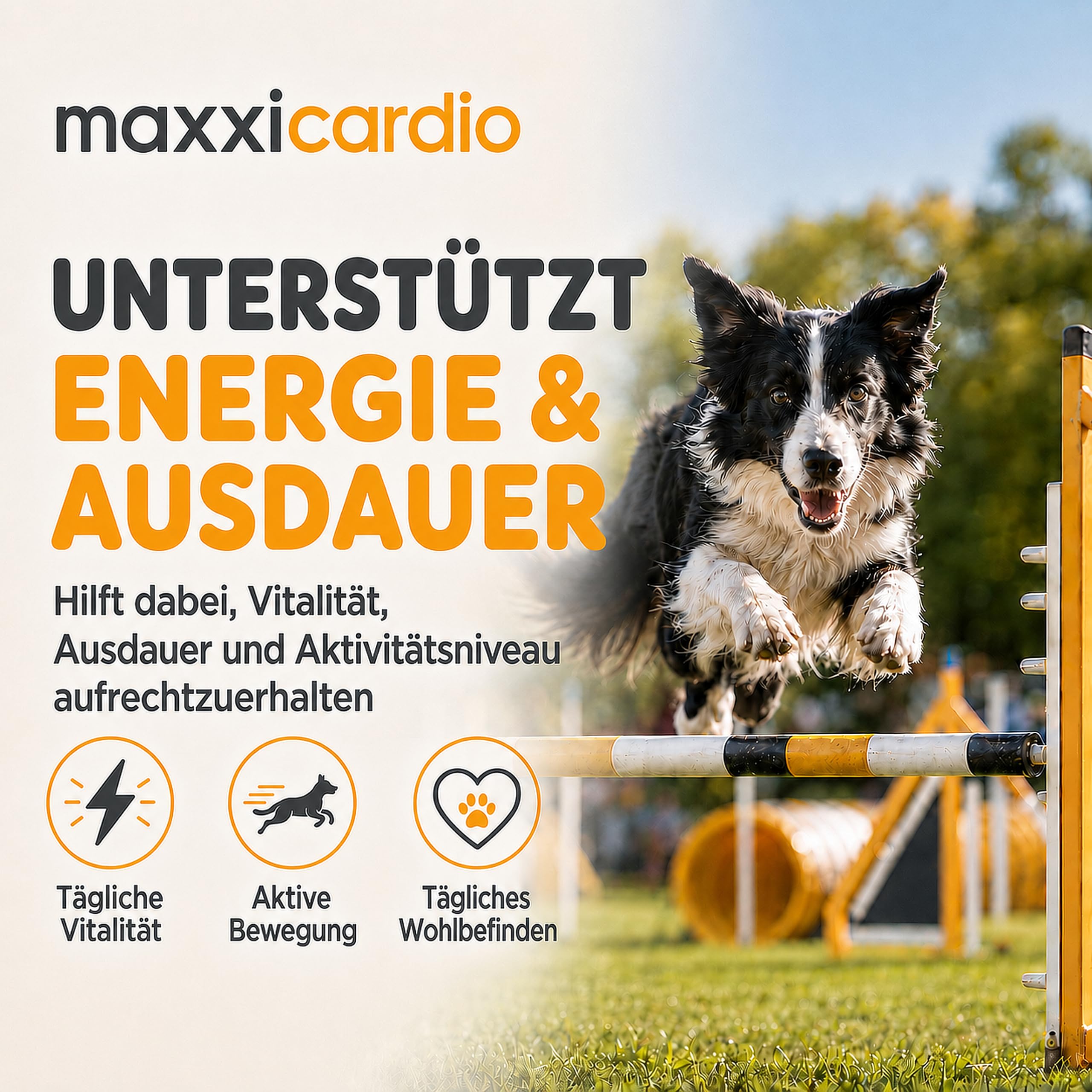 maxxipaws maxxicardio Herz- und Kreislauf Ergänzungsfuttermittel in Pulverform für Hunde, 90 g