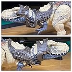 Review Image by PaleoCollector PaleoCollector