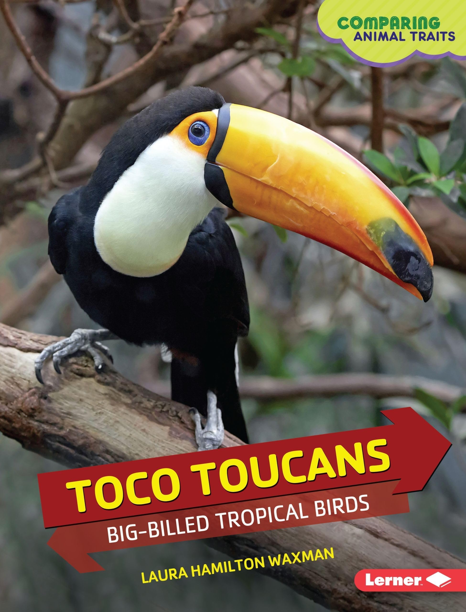 Toco Toucans: Big-Billed Tropical Birds (Comparing Animal Traits) Library Binding – April 1, 2016