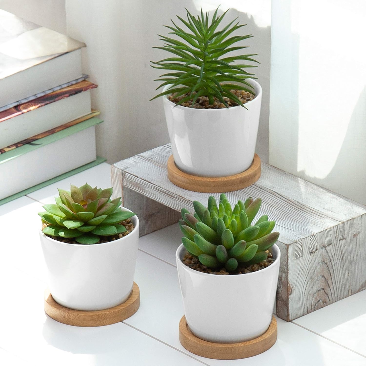 MyGift Assorted Artificial Succulent Plants Decorative Fake Desert Plants with