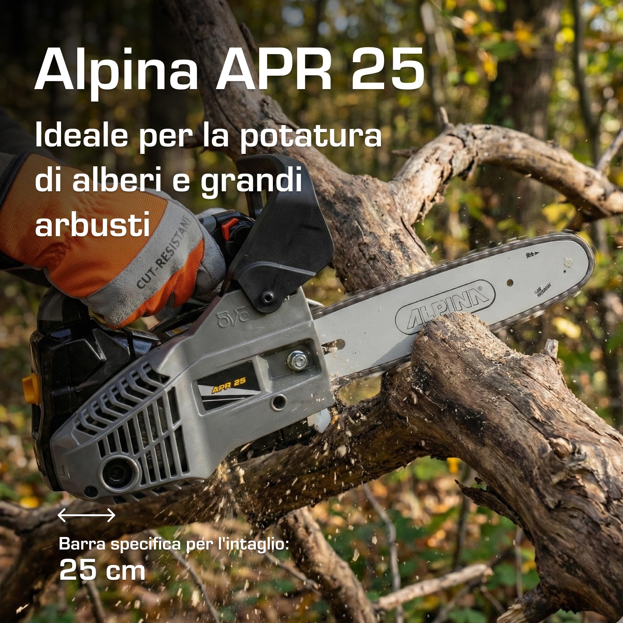Alpina APR 25 Motosega da potatura, 25,4 cc – Barra 25 cm, Pompa olio automatica regolabile – Per potatura di alberi e arbusti