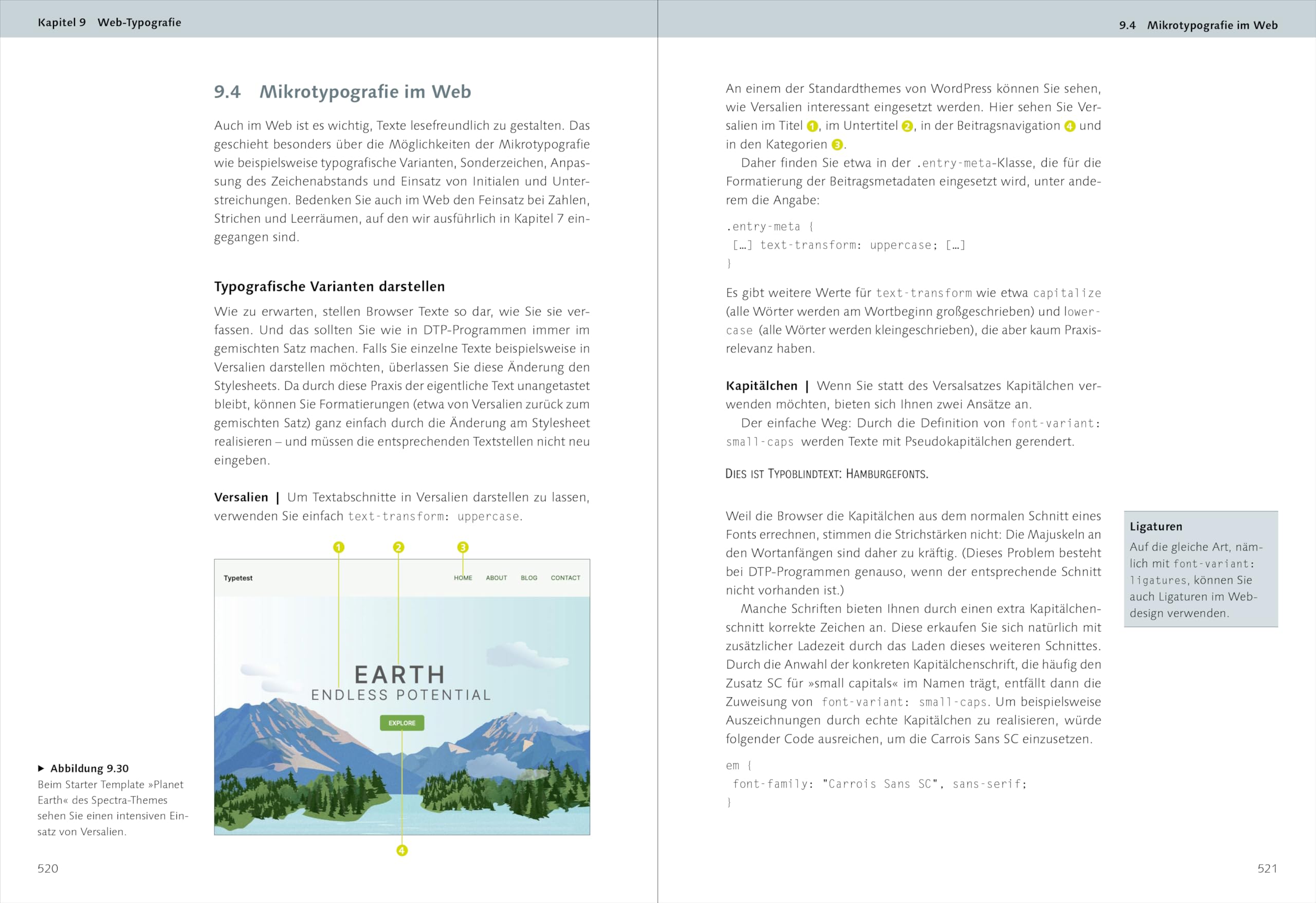Typografie: Das umfassende Handbuch. Alle Aspekte der Mikro- und Makrotypografie in Print, Web und mobil