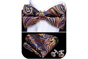 Men's Bow Tie and Pocket Square Set: A Symphony of Paisley and Stripe