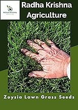 Imported Zoysia Lawn Grass Seeds for Home and Gardening (Pack of 100 seeds)